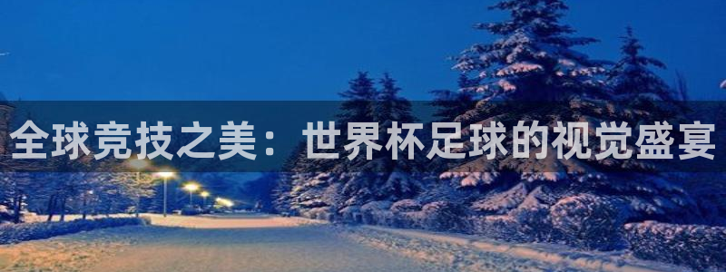 世界杯预选赛直播：全球竞技之美：世界杯足球的视觉盛宴