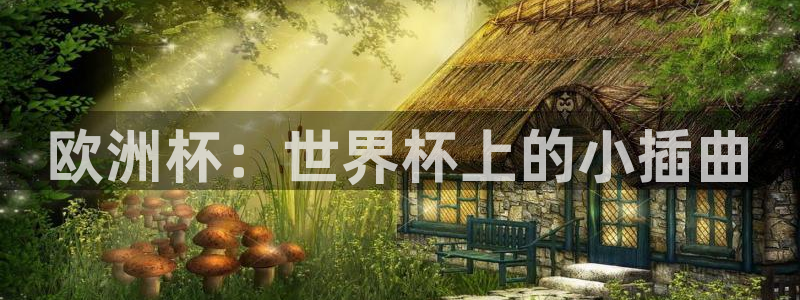 2026年世界杯直播平台：欧洲杯：世界杯上的小插曲