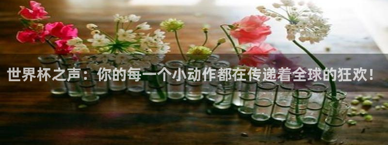 2026世亚预赛赛程表：世界杯之声：你的每一个小动作都在传递着全球的狂欢！
