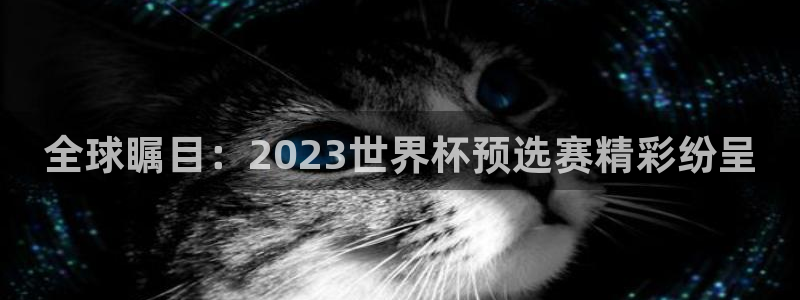 欧洲区世界杯预选赛：全球瞩目：2023世界杯预选赛精彩纷呈