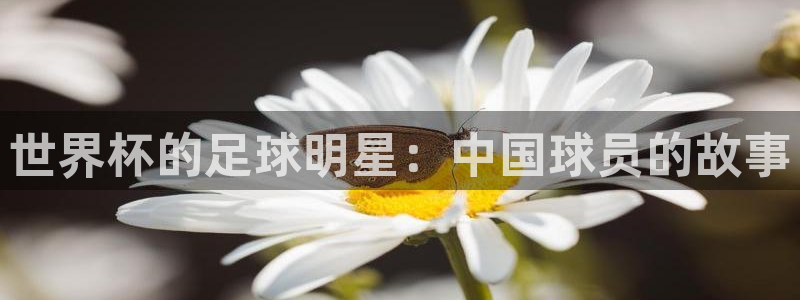 2026足球世界杯赛程：世界杯的足球明星：中国球员的故事