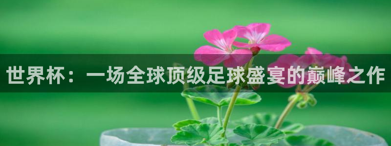 世界杯官网入口：世界杯：一场全球顶级足球盛宴的巅峰之作