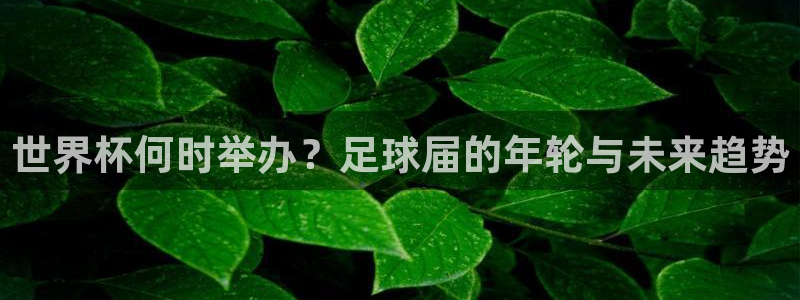 世界杯直播网站：世界杯何时举办？足球届的年轮与未来趋势