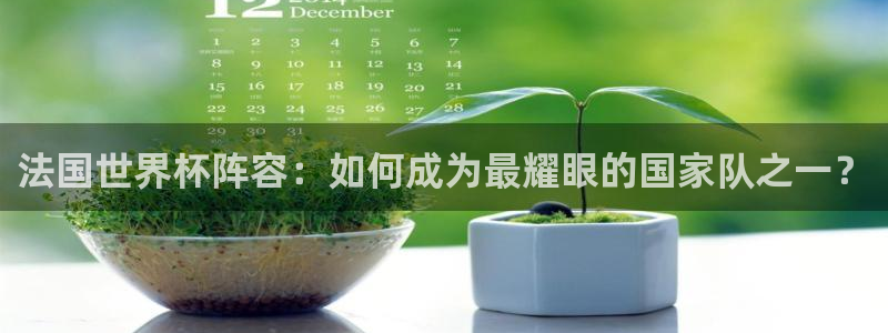 2026年男足世界杯：法国世界杯阵容：如何成为最耀眼的国家队之一？