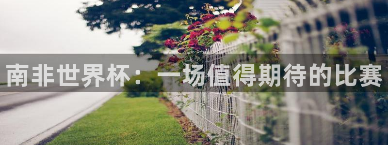 2026男足世界杯赛程：南非世界杯：一场值得期待的比赛