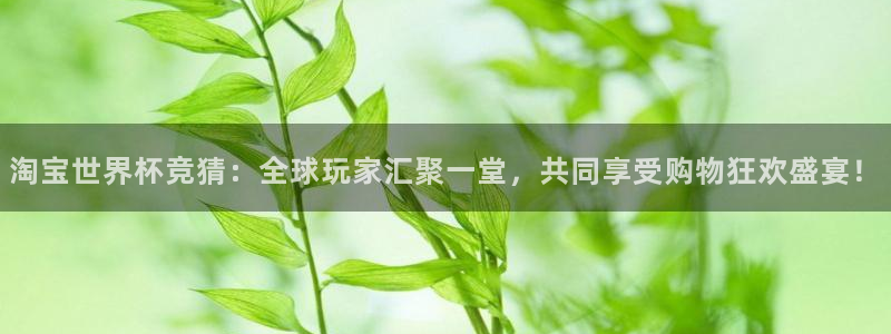 世界杯视频：淘宝世界杯竞猜：全球玩家汇聚一堂，共同享受购物狂欢盛宴！