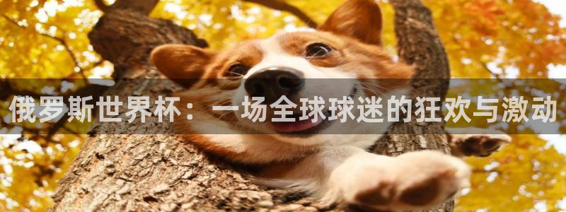 世界杯赛程表2026：俄罗斯世界杯：一场全球球迷的狂欢与激动