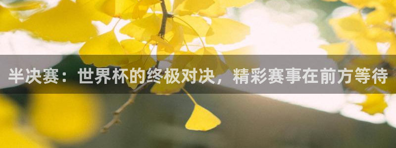 2026世界杯赛程时间表最新：半决赛：世界杯的终极对决，精彩赛事在前方等待